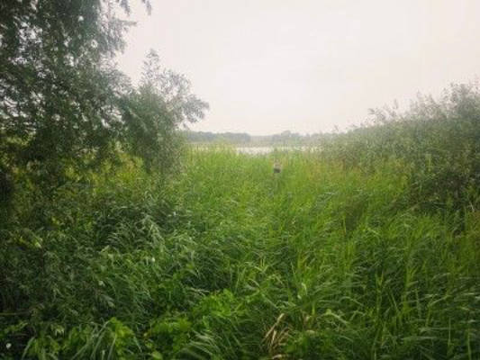 Dein Basislager am See - in der Nähe der Ostsee