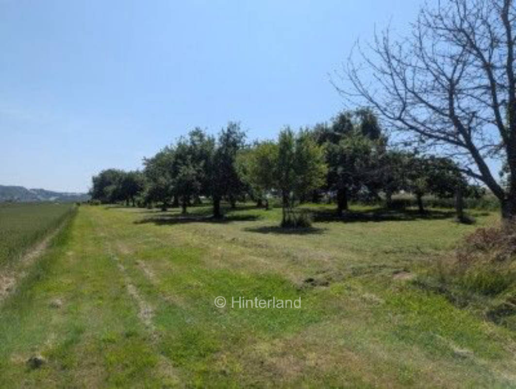 Streuobstwiese nahe Segelflugplatz