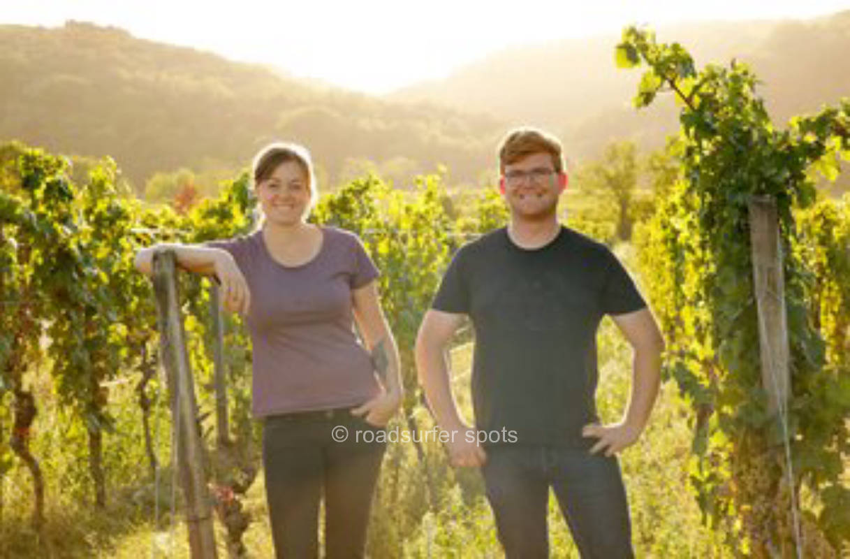Sonniger Stellplatz auf dem Weingut in der Pfalz