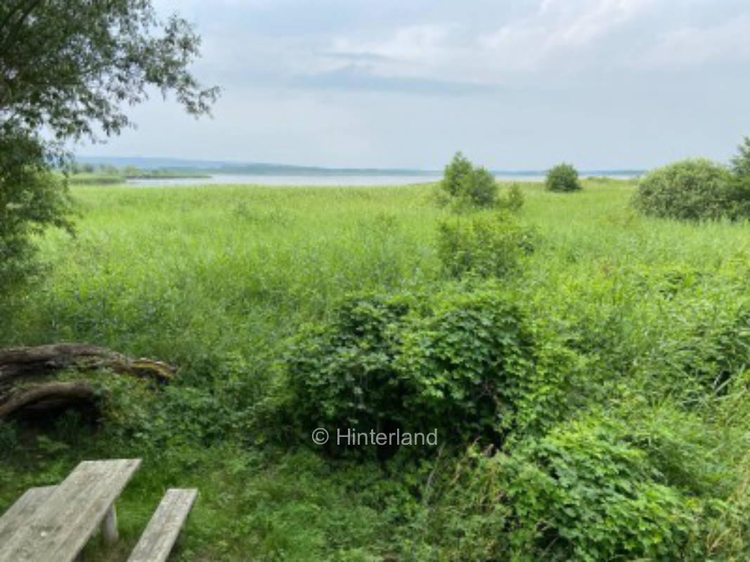 #TOP Herbstplatz - Kranichblick am Galenbecker See