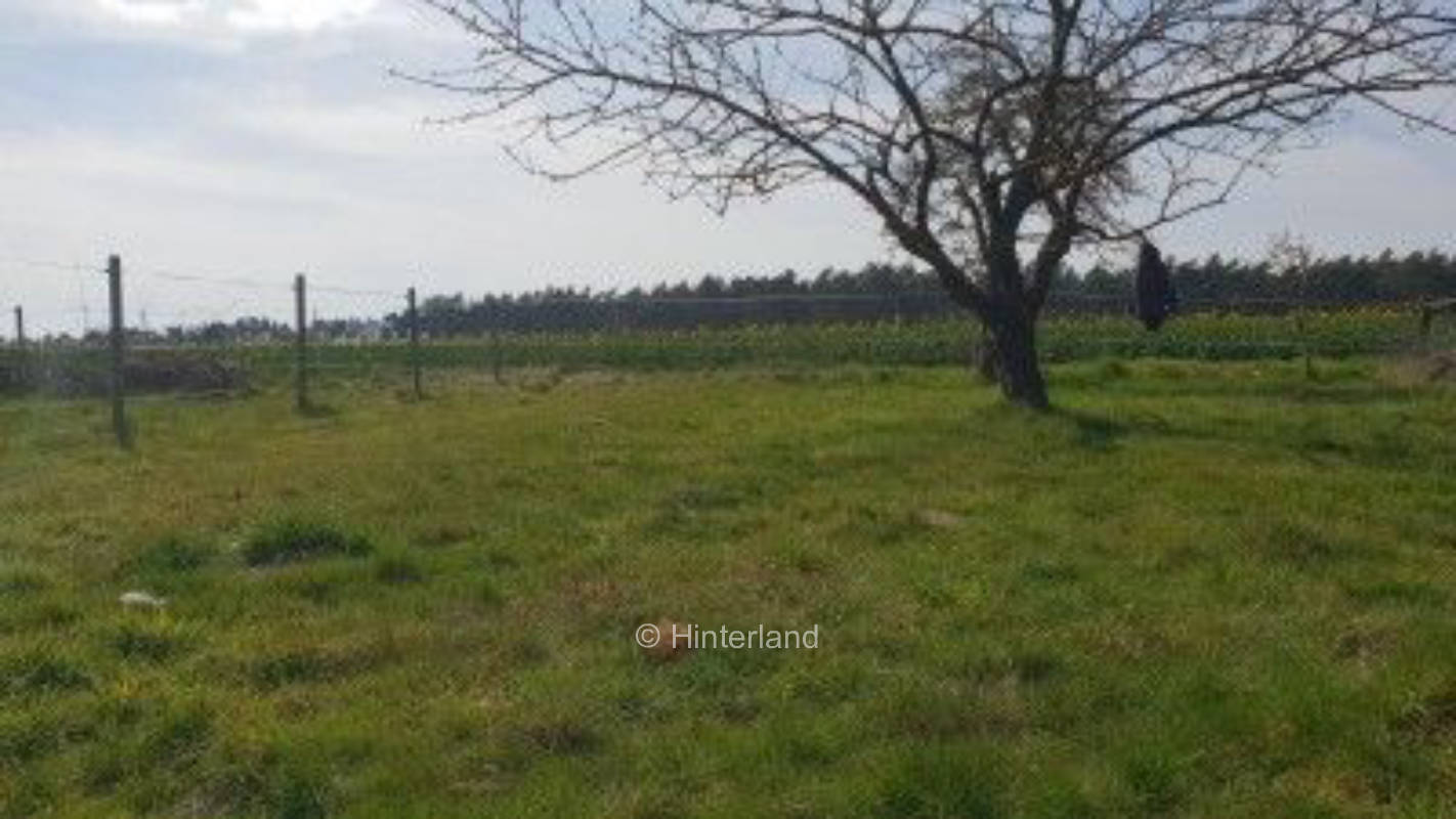 Schnuckeliger Zeltplatz auf kleiner Obstwiese
