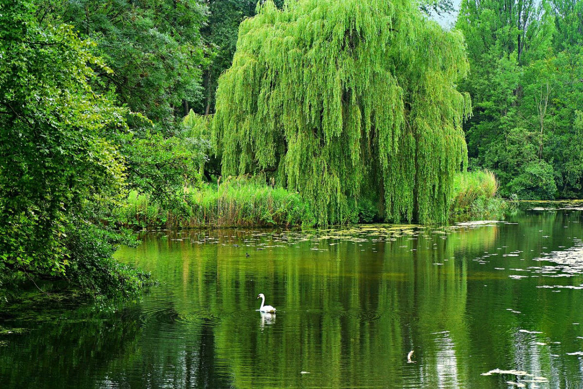 Der Lappwaldsee - Ein möglicher Stellplatz?