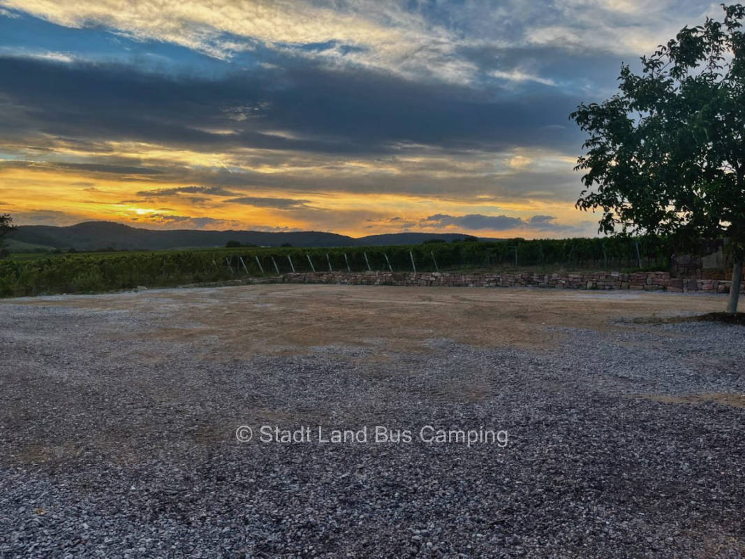 On the edge of the vineyards - vacation on the winery 1