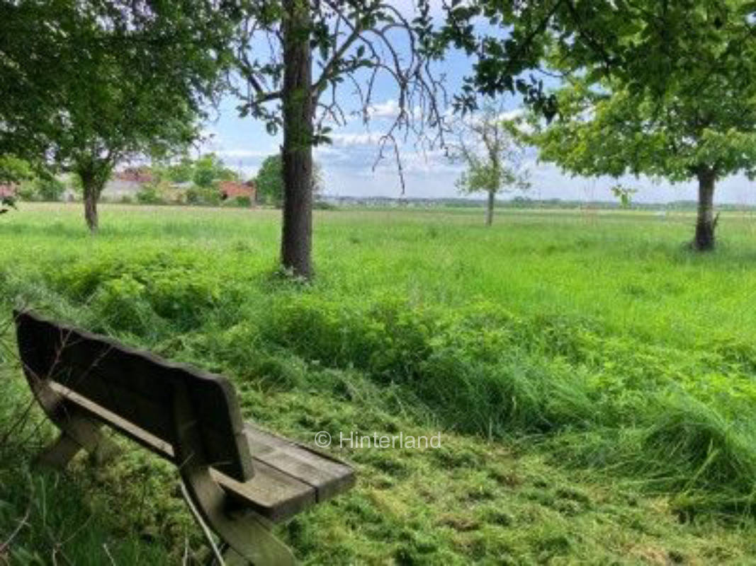 Alte Hofstelle & Obstwiese im Dornröschenschlaf 