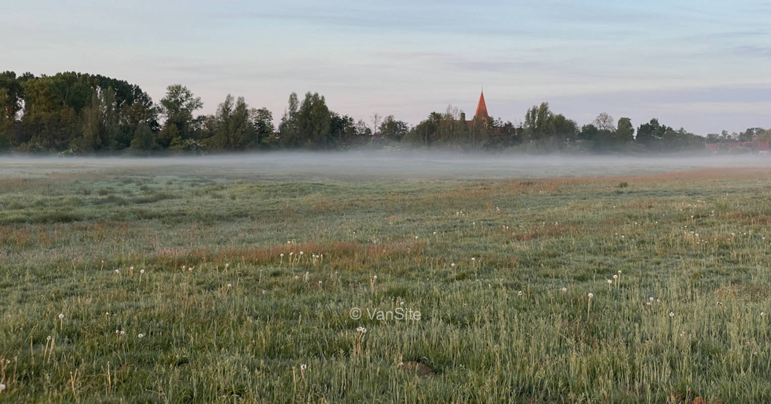 At the crane pasture