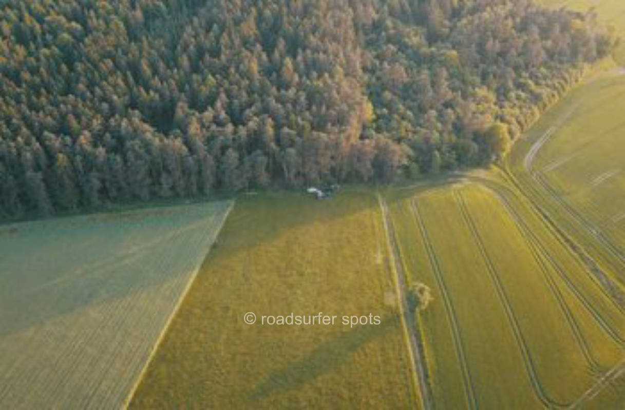 Wiese an der Apfelallee 