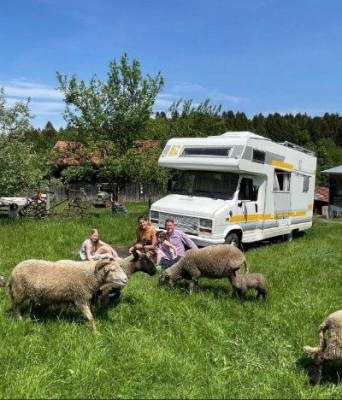 Idylle pur auf der Wiese neben den Schafen