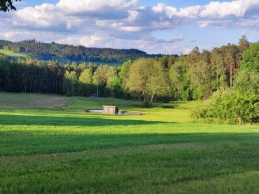 Auf dem Land im wunderschönen Oberpfälzer Wald