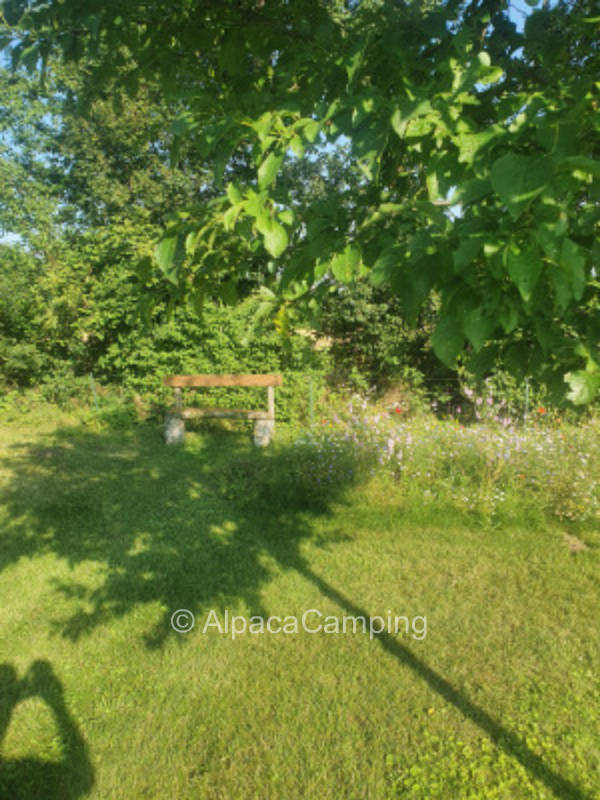 Wunderschöne Auszeit im  Münsterland