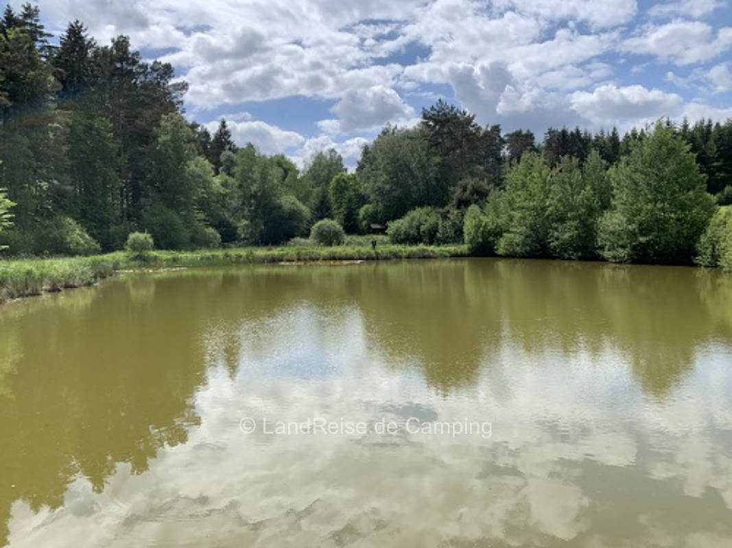 Wunderschöner Stellplatz auf Wiese mit Apfelbäumen