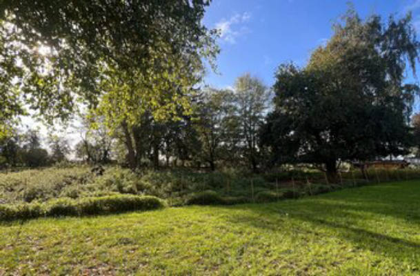 Camping Landlebenliebe - auf der Wiese am Conradhof 