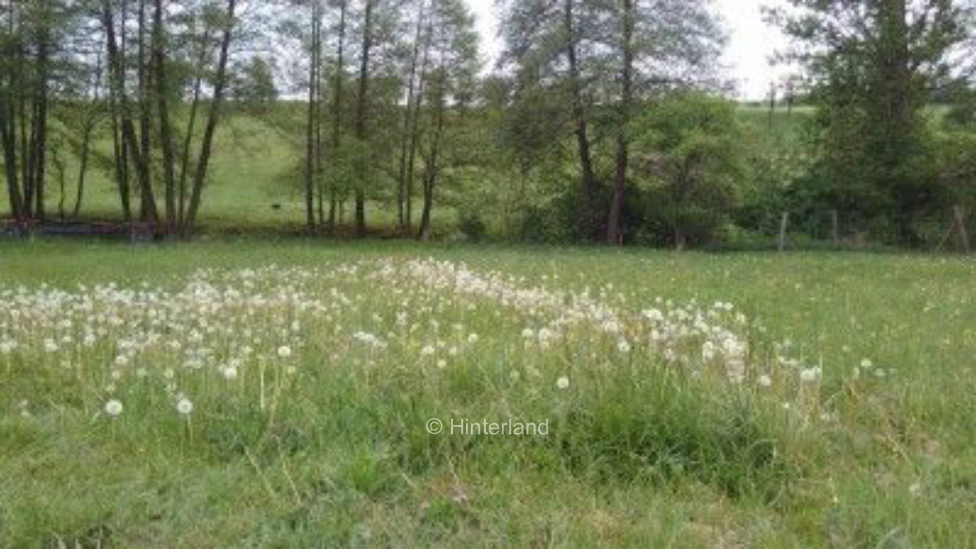 Wiesenzeltplatz bei Rudolstadt am Mühlenradweg