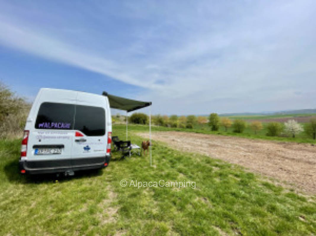 Bei Goddelsheim mit Sauerlandblick #3
