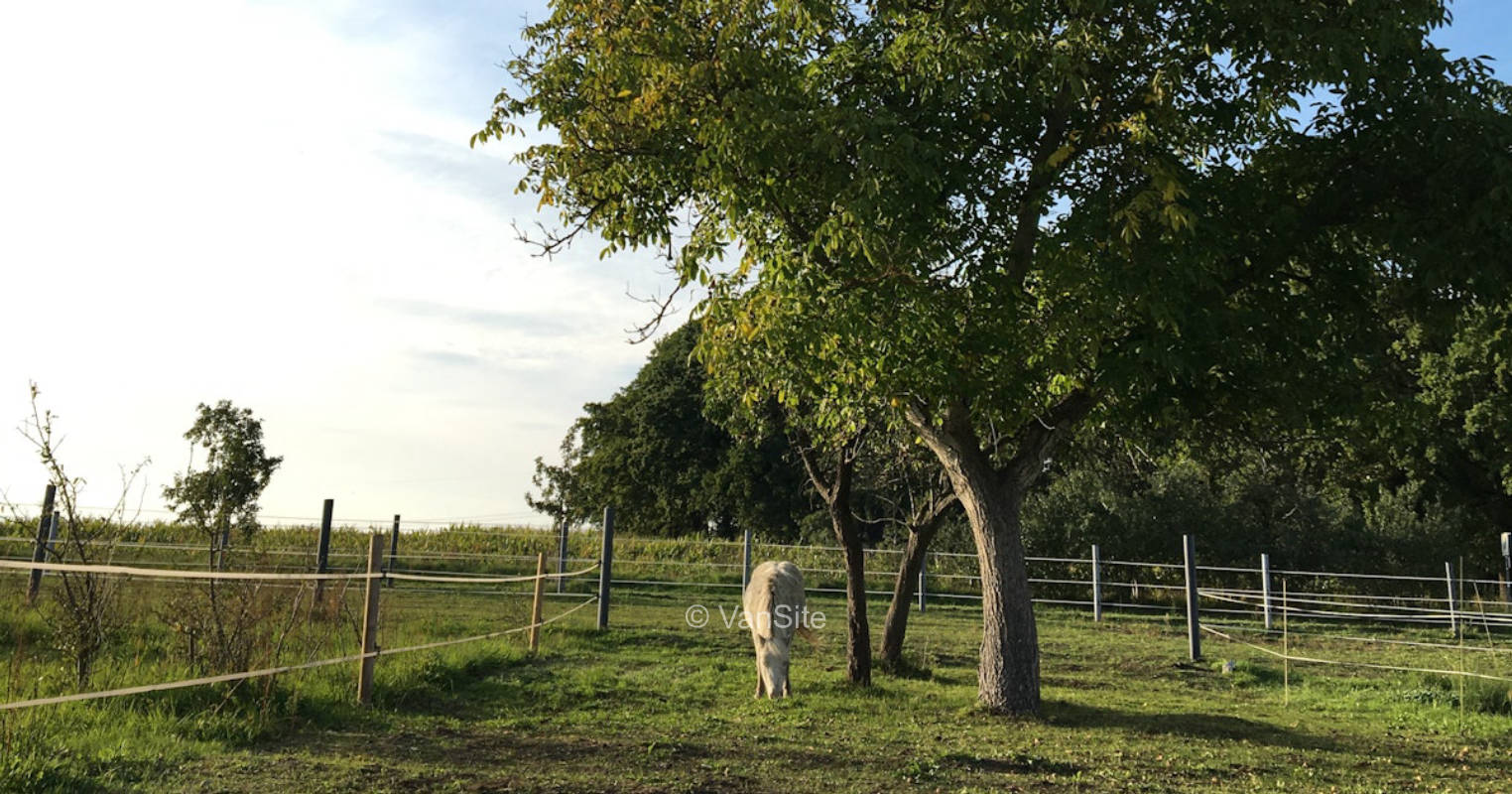 Wiese am Naturpark Schlaubetal