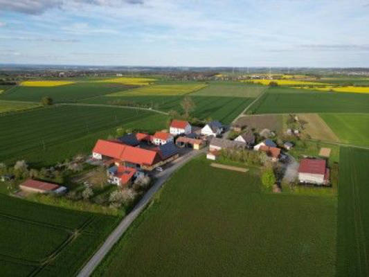 Sterne schauen auf der Apfelwiese