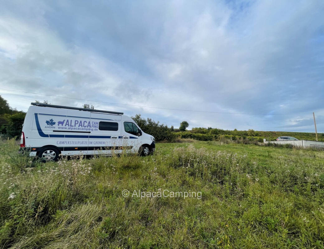 Camping in Mölsheim #1