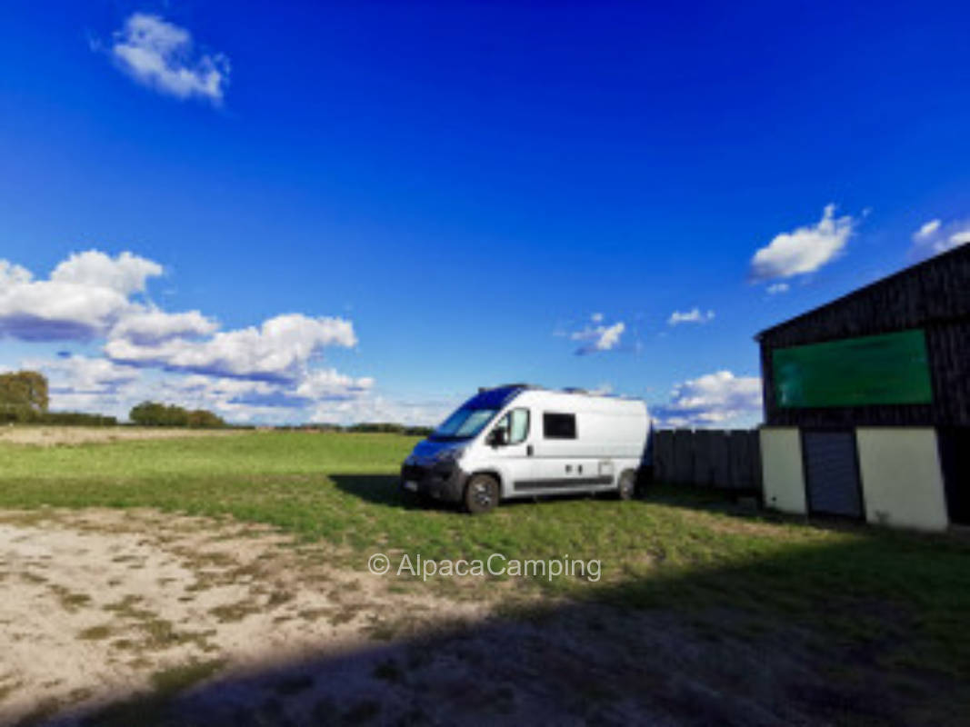 Beautiful pitches on the edge of the Drömling #1