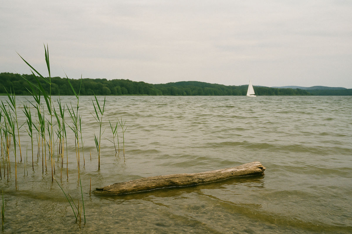 Der Wörthsee – KI-generiertes Symbolbild