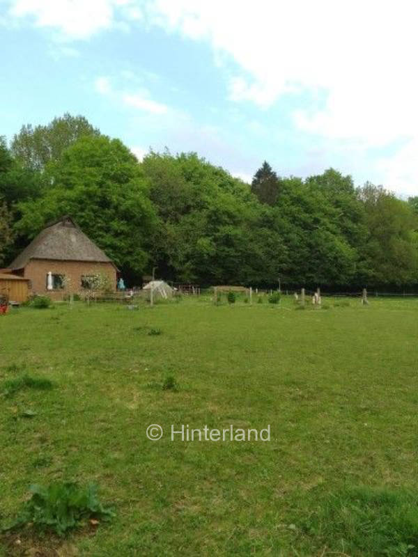 Urlaub im Wald mit direktem Zugang zur Au