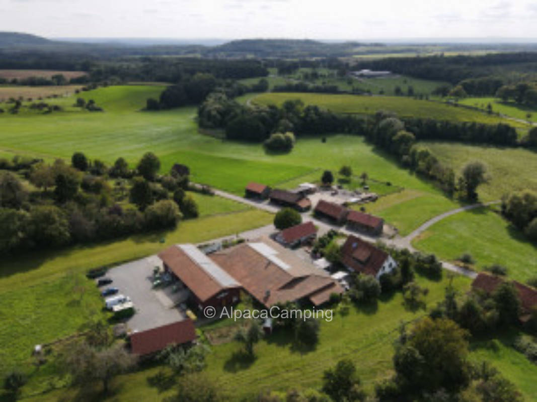 Pitch in quiet location below the vineyard Diefenbacher König #3