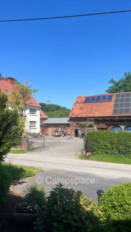 Ostönnerlinde (Campspace 9216)