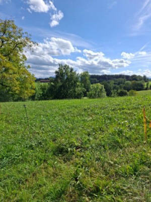 Stellplatz in Alleinlage mit schönem Weitblick