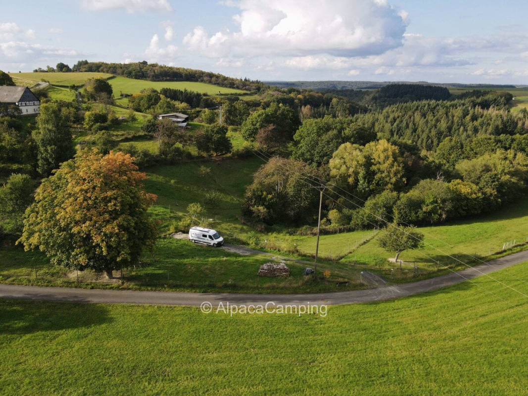 Nature time in the side of the Moselle valley