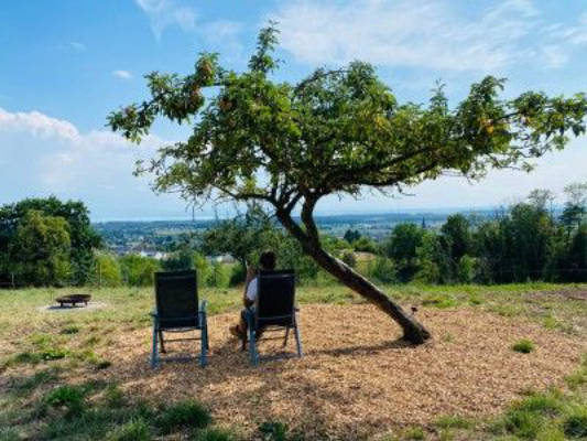 Stellplätze mit Panoramablick auf Bodensee & Alpen