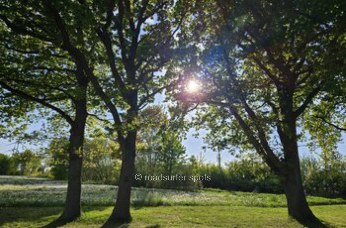 Camping Rast zwischen Hund und Huhn