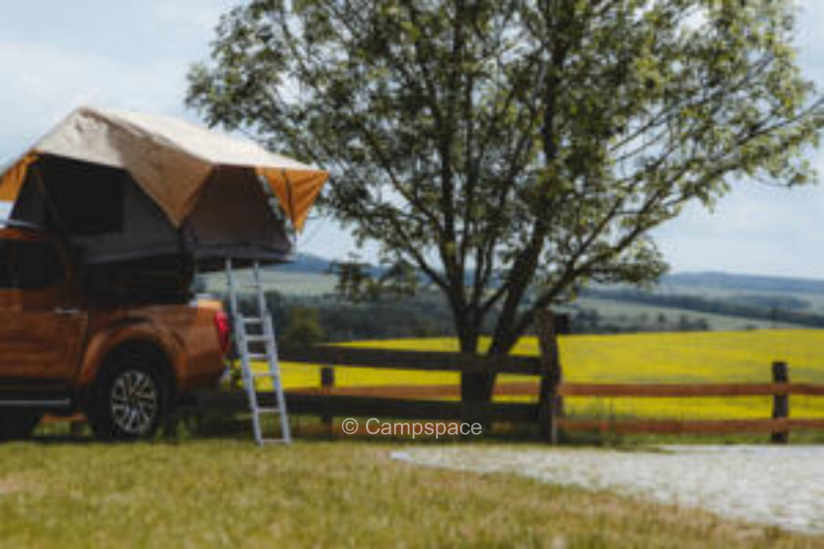 Rittergut Positz - casual time out under on the orchard meadow or at the lake