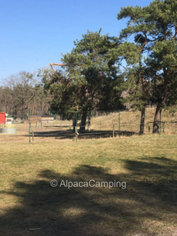 View of the pastures #9