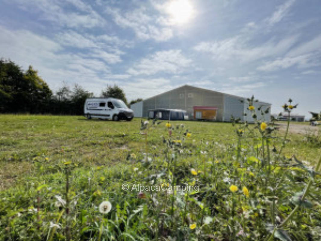 Meadow pitch #10