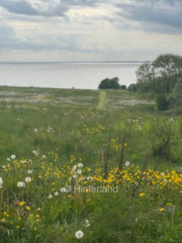 Weitblick am Meer – “Lyv Ærø” erleben