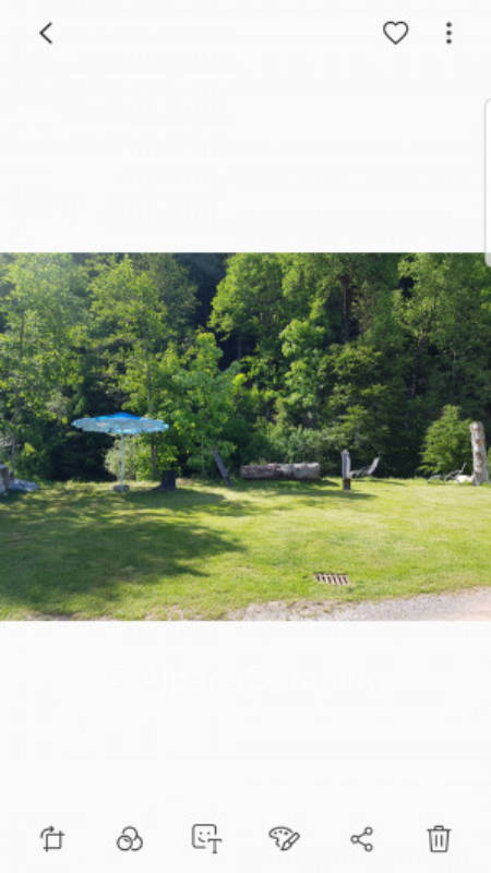 Black Forest Nature Park #2