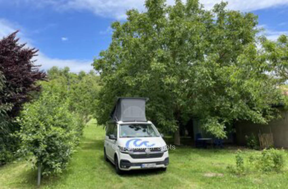 Camping auf unser Wiese direkt am Weingut