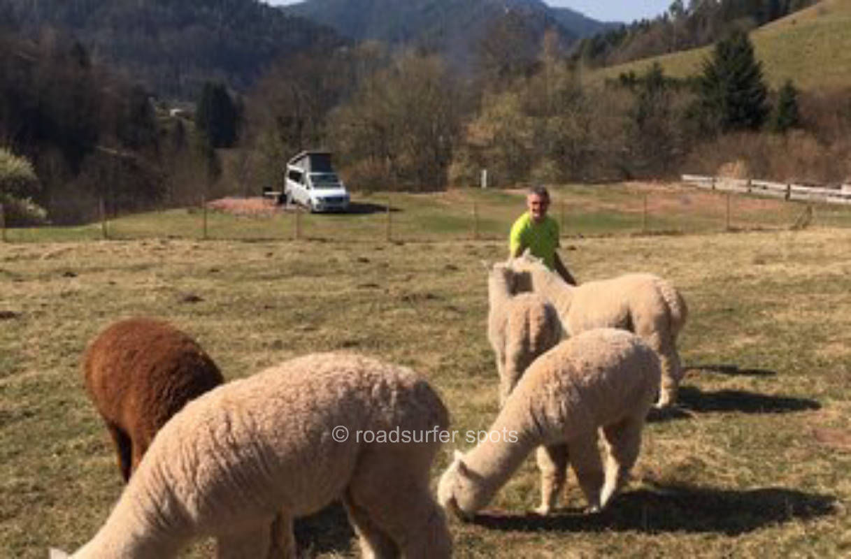 Stellplatz mit kleinem Naturweiher