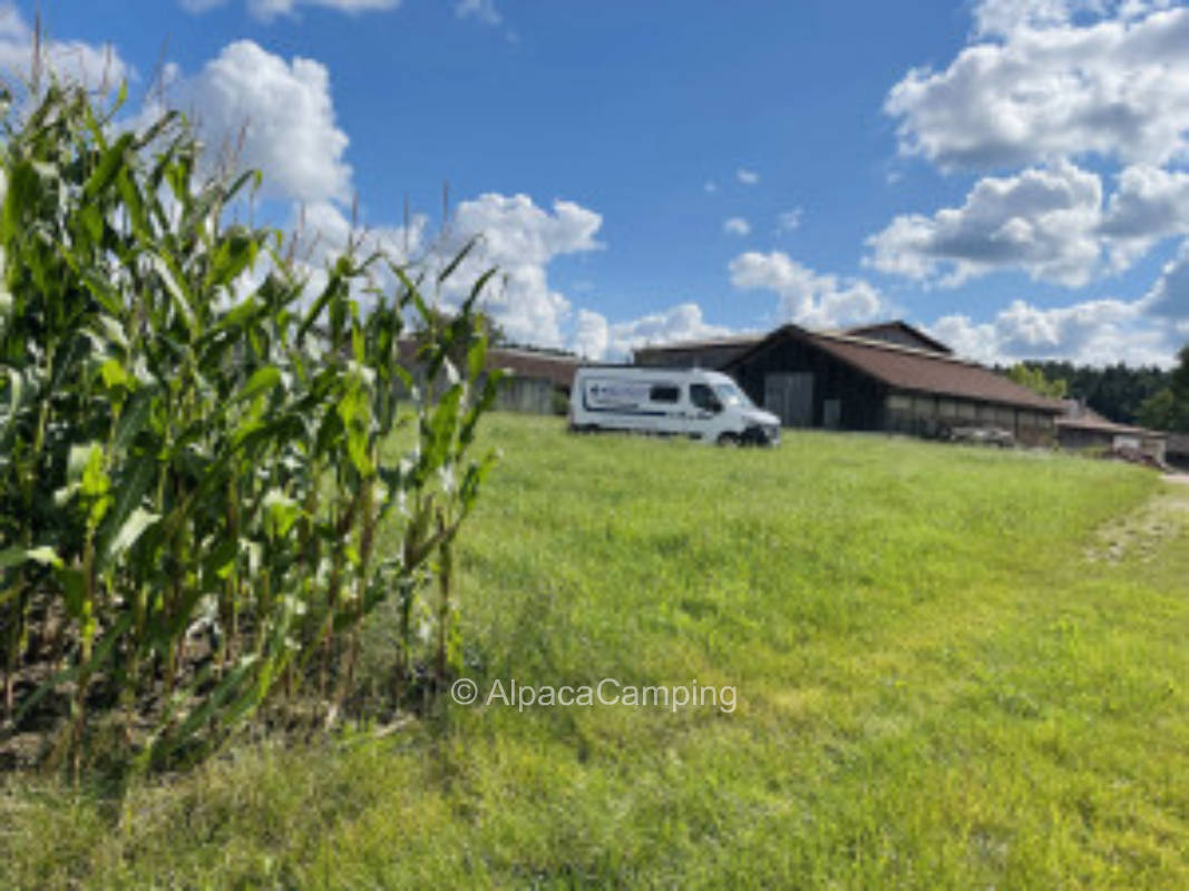 Wiese mit Weitblick am Bauernhof  #2