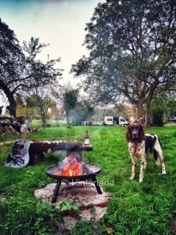 Ein Platz im Grünen unter einem Walnußbaum