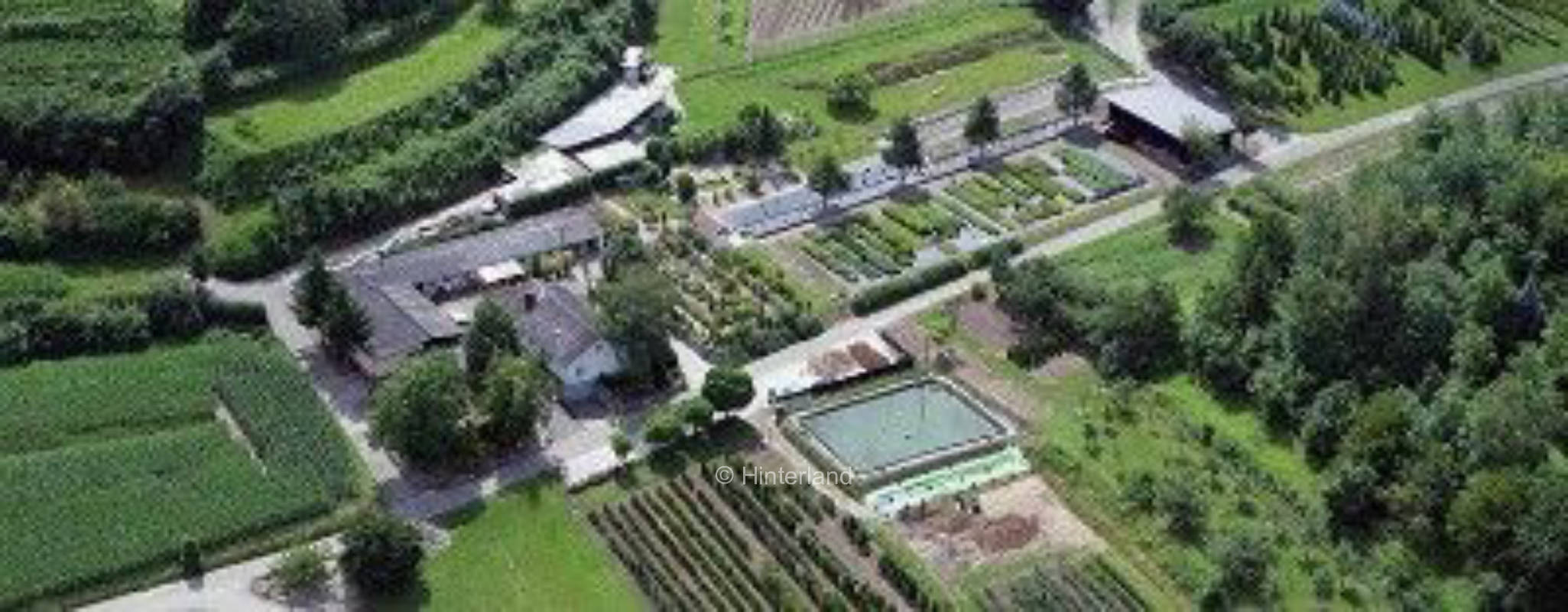 Wiese mit freiem Blick ins Elsass..., privater Stellplatz