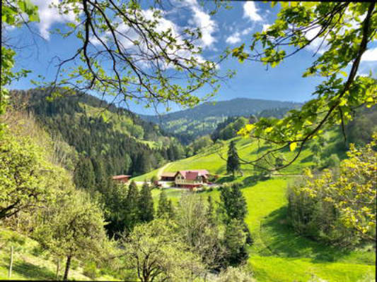 Bierpeterhof