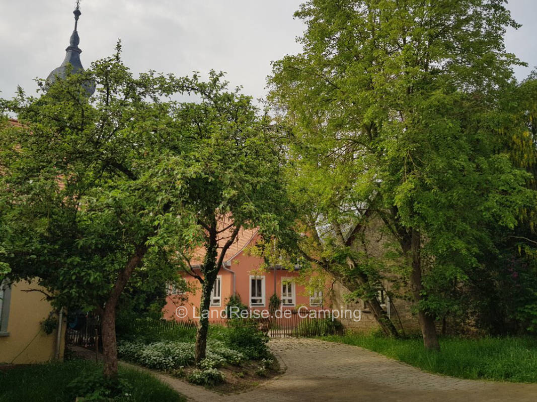 Natural pitch on meadow next to small river