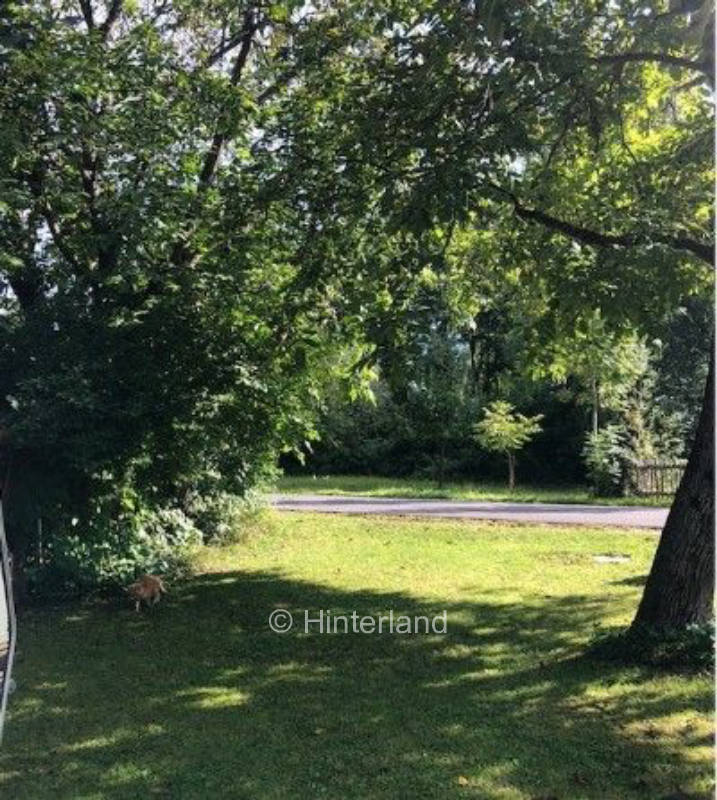 Stellplatz am alten Fischerhaus nahe Wels & Linz