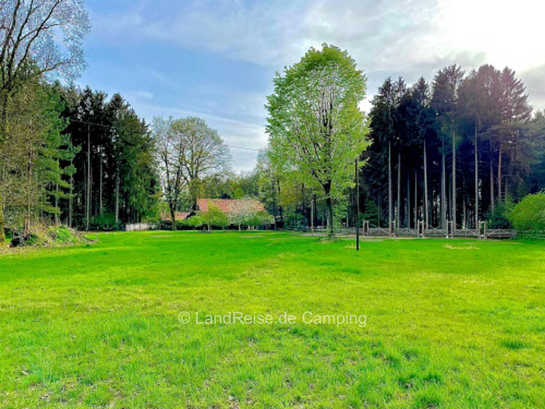 Insider tip: Idyllic pitch between forest&fruit trees