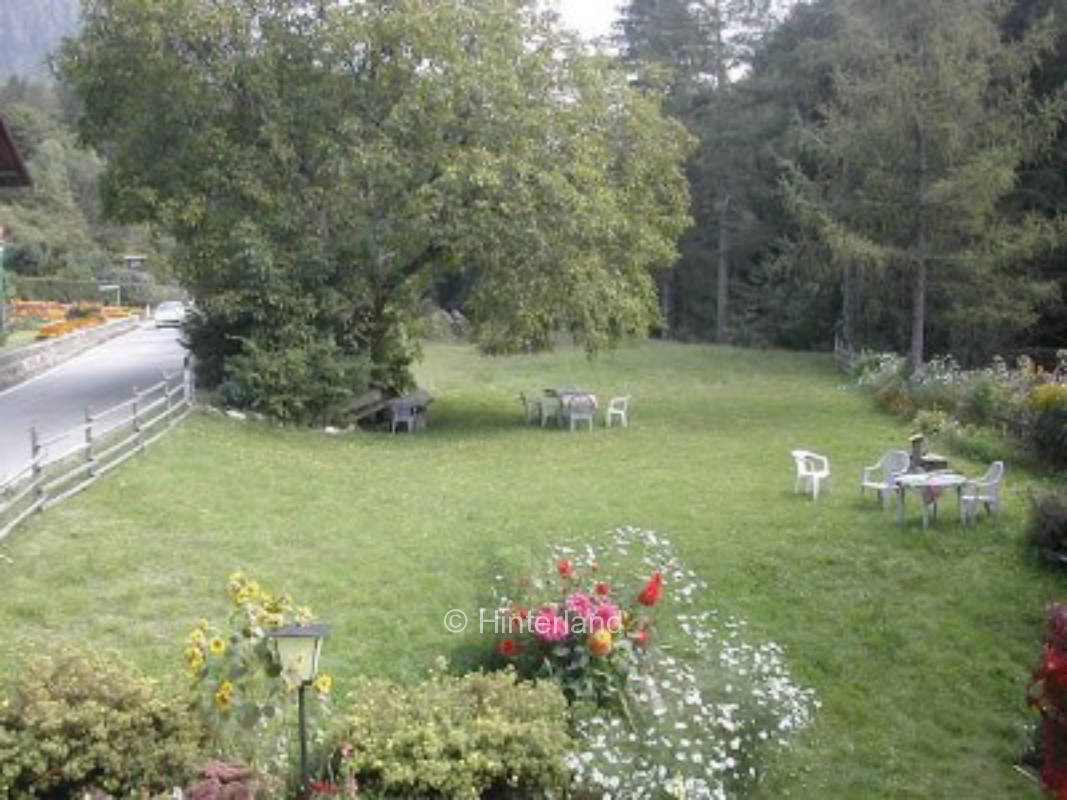 Meadow on the farm in the Dolomites South Tyrol