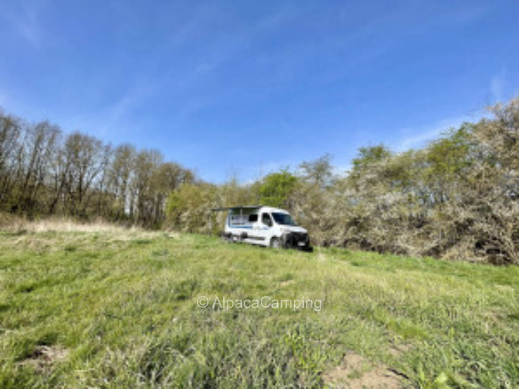 Ruhiger Stellplatz mitten in der Natur auf einer Wiese #1