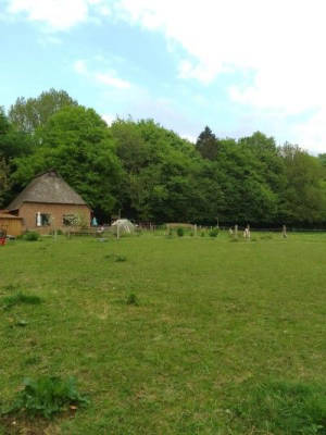Holiday in the forest with direct access to the floodplain