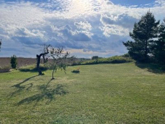 Uckermark Weitblick: Natur Spot mit Kranichen