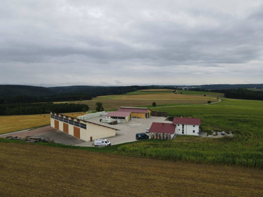 AlpacaCamping 1407