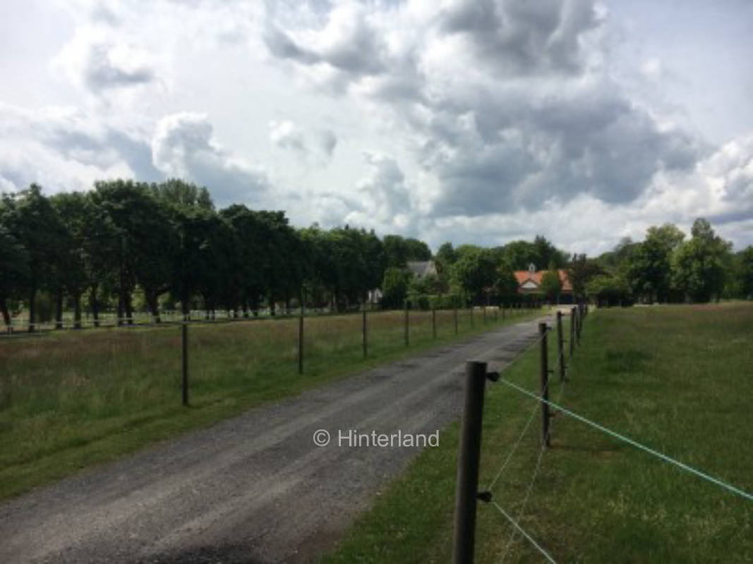Am Rande des Eichenwäldchens mit Blick über Wiesen