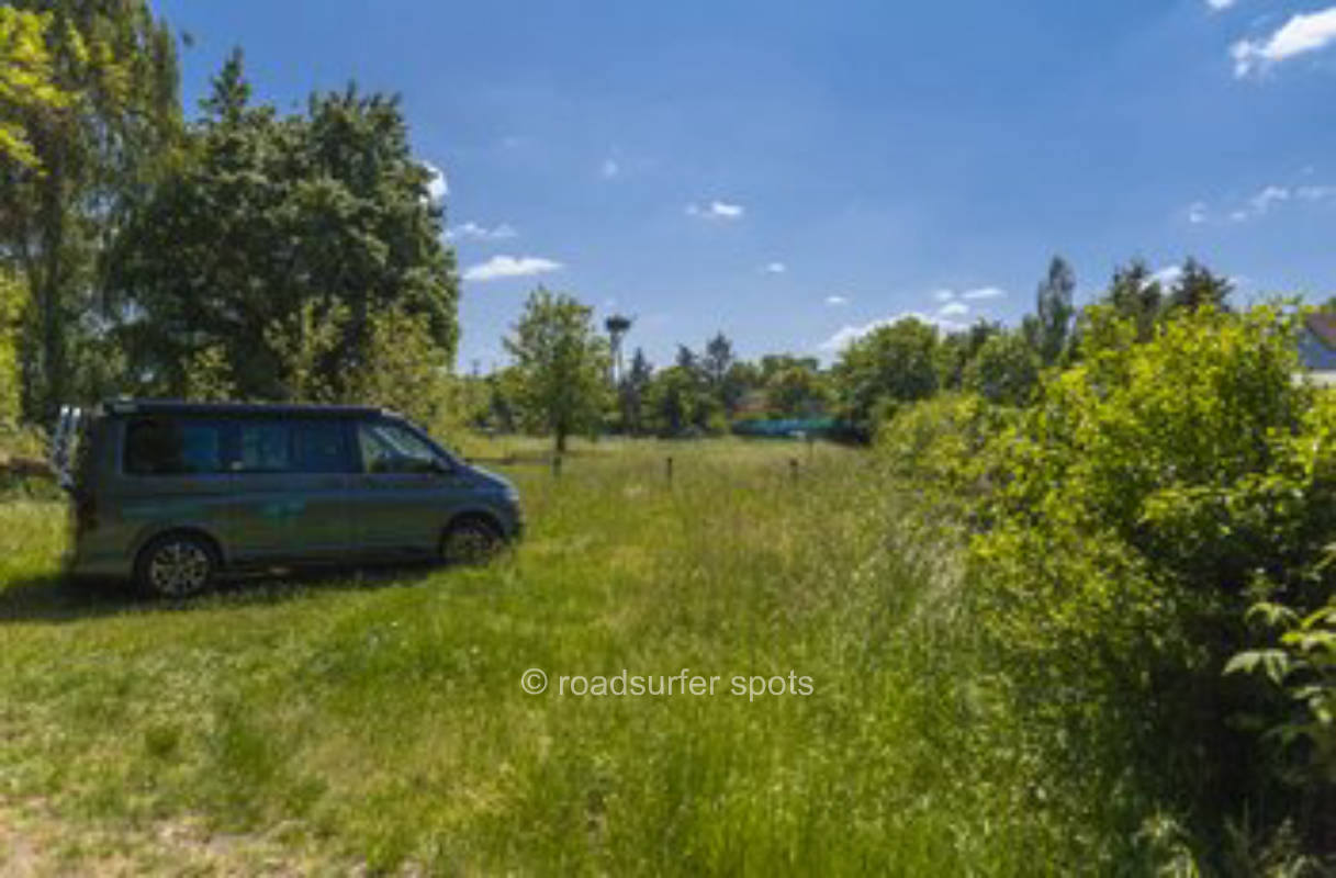 Storchenblick